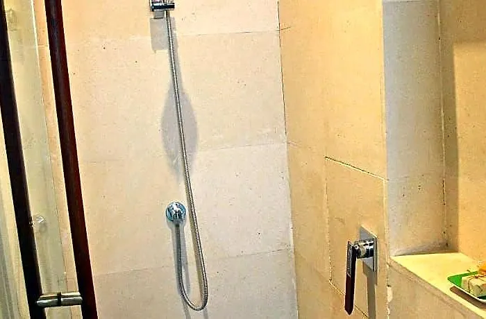 Hotel Anginsepoi Selemadeg